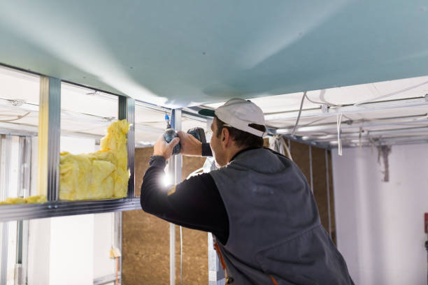 Best Types of Insulation in North Plainfield, NJ